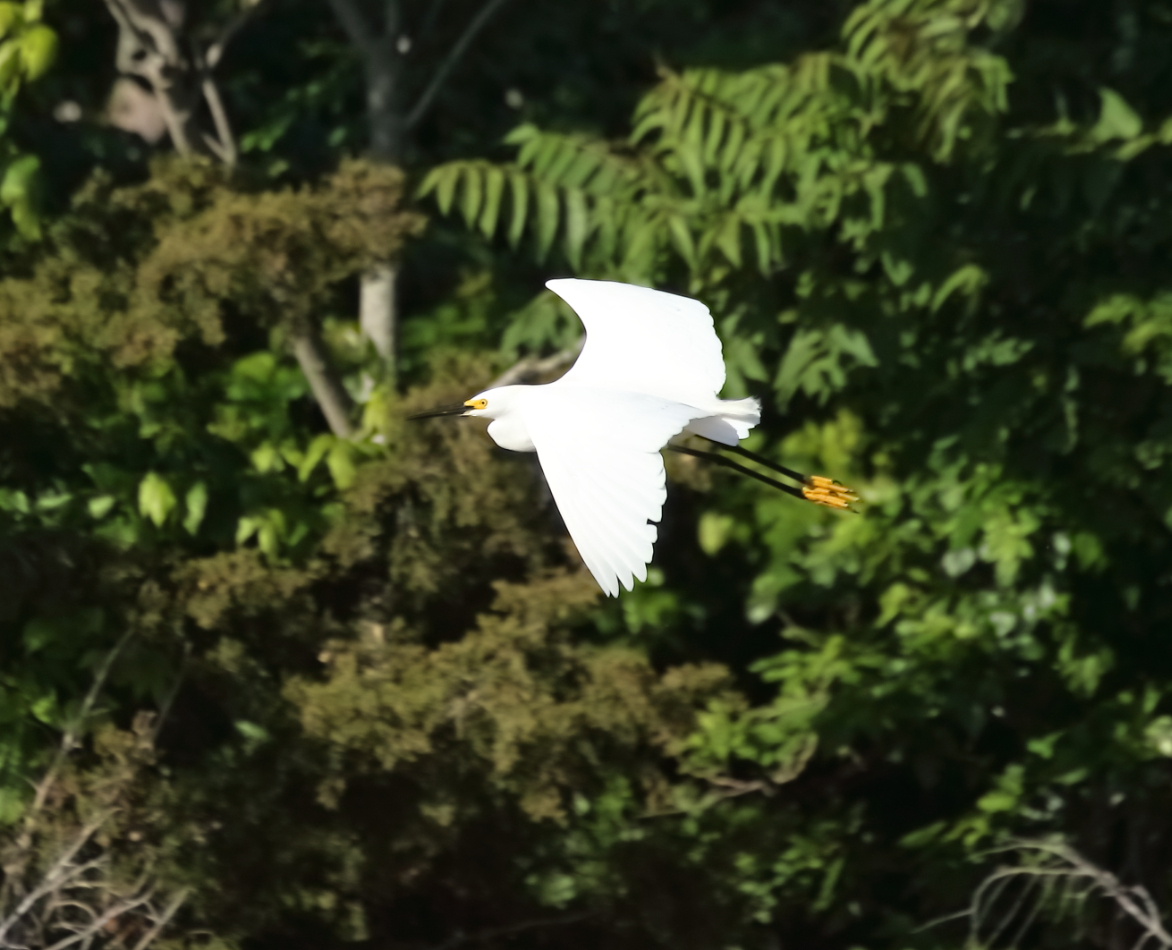 2018 06 11 HTP 27126